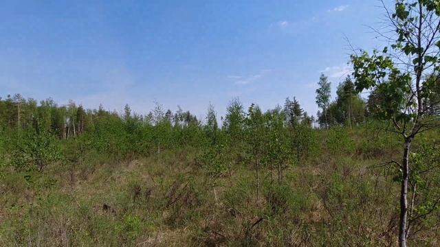 DJI osmo action.Новая камера!Тест камеры на копе в лесу. смотреть онлайн