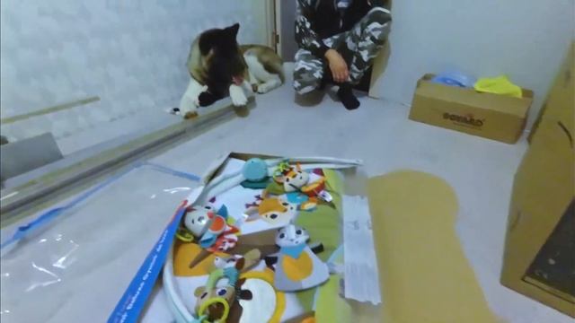 Детский развивающий коврик Tiny Love:) из Детского мира смотреть онлайн