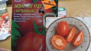 СОРТА  ТОМАТОВ  ДЛЯ  ОТКРЫТОГО ГРУНТА . КАКИЕ ТОМАТЫ  ПОДОЙДУТ ДЛЯ ОТКРЫТОГО ГРУНТА В  СИБИРИ .