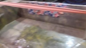 Как делать нельзя!!! Неман 2