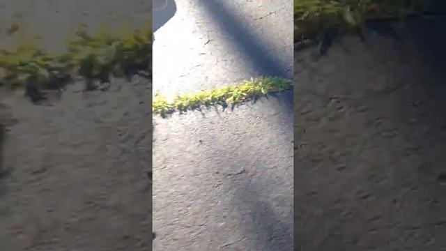 murder file:5494 смотреть онлайн