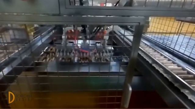 Роботизированный укладчик сосисок в термоформер