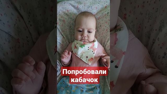 Прикорм!Сегодня попробовали кабачок #детицветыжизни #поставьлайк смотреть онлайн