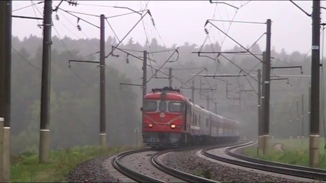 Тупой кот Ким. Комарово. Клип. смотреть онлайн