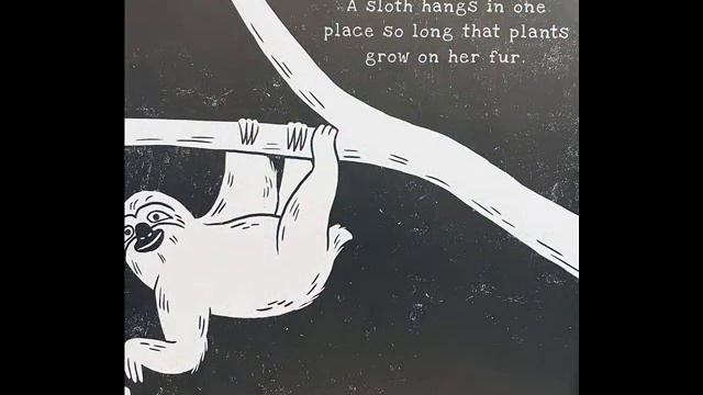 SECRETS OF THE RAIN FOREST | READ ALOUD STORIES смотреть онлайн