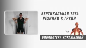 Вертикальная тяга резинки к груди. Техника выполнения. Упражнение на плечи.