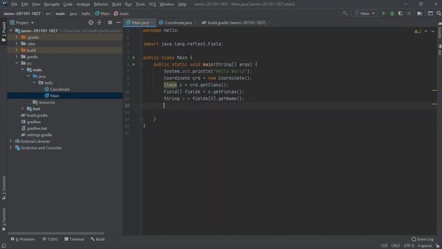 Java - Reflection смотреть онлайн