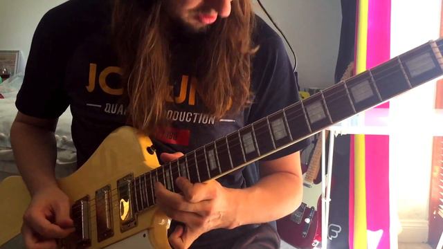 Free Bird - Lynyrd Skynyrd || Solo Cover смотреть онлайн