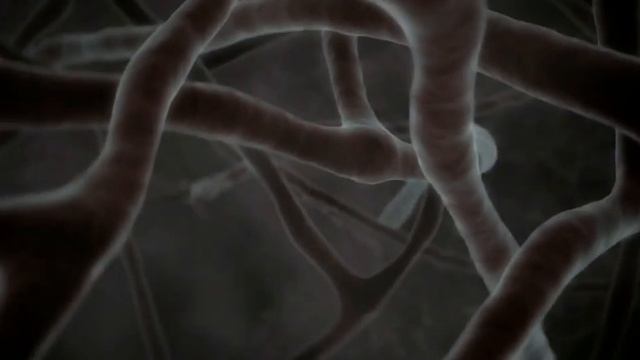 Turbo улитка скорость это круто И смотреть онлайн