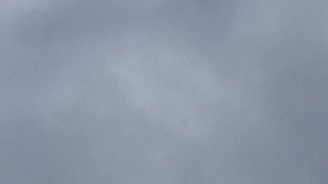 #Pigeons.Бой арм.бойных голубей.часть 3. смотреть онлайн