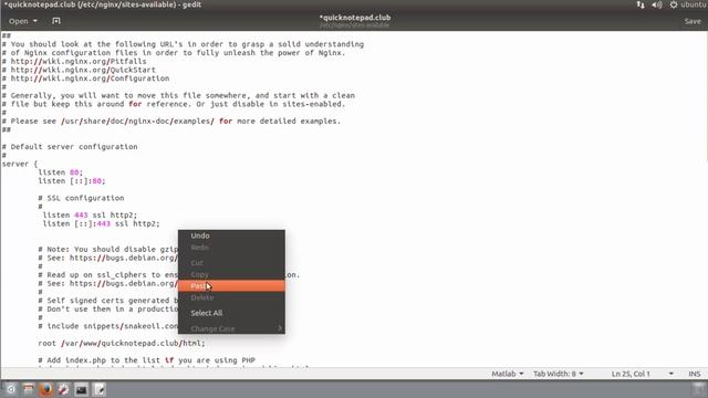How to Enable HTTP/2.0 in NGINX Web Server on Ubuntu Linux смотреть онлайн