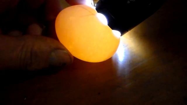 Что нужно видеть при овоскопирование куриных яиц во время инкубации,на третий день после закладки.