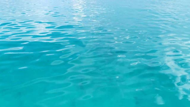 океан ,starfish varadero 3* смотреть онлайн
