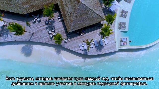 Пляжный отдых за границей на море в августе (куда поехать на острова недорого)