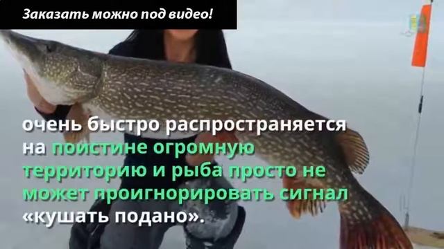 Активатор клева dry blooder смотреть онлайн