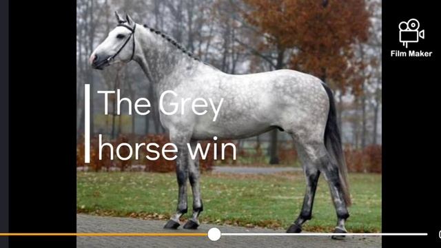 Horse Vs Hobby Horse ❓??