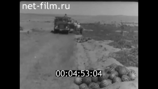 1962г. с.Осыпной Бугор, Приволжский район. с. Золотуха, Ахтубинский район смотреть онлайн