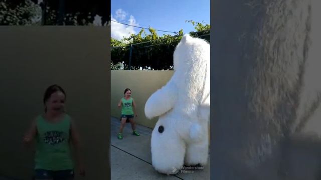 Поздравления Белого медведя.День рождения Кати.