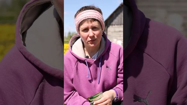 Укроп и петрушка взойдут щеткой через 5 дней! Идеальный метод посева! смотреть онлайн