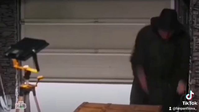 Пёс-смешные моменты ???