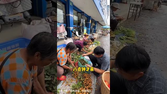 阿義假裝路費丟了上集市借錢，屢屢被路人趕走唯有龍眼大叔伸出援助之手，曾趕走他的人最後後悔不已！ 【阿義走鄉村】 смотреть онлайн