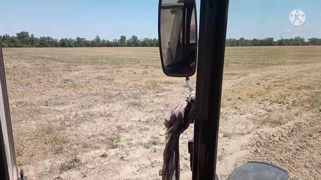 386 тюков с 4 га семереченской люцерны второй укос.25.07.2021 смотреть онлайн