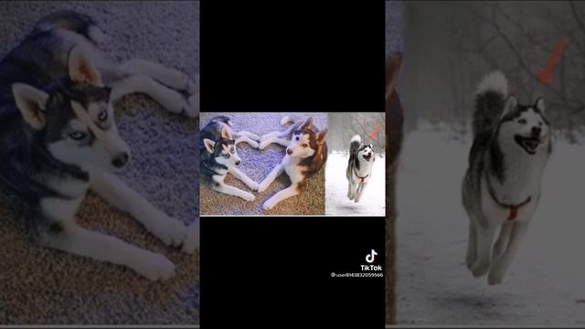 глаза в глаза, ладонь в ладонь, это на вечно??? смотреть онлайн