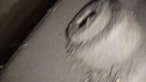 Замена масла в мостах Урал NEXT 6х6