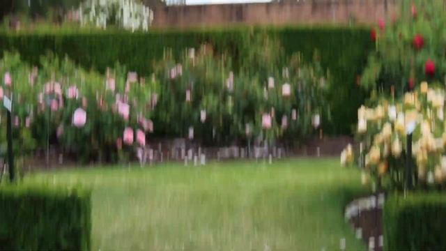 My visit to the David Austin Rose garden Centre Albrighton, England 2021#DavidAustinRoseGardens смотреть онлайн