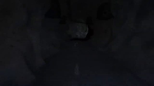 OUTLAST SPEEDRUN NOT LIVESPLIT (WITH MODIFIED RUN) 8.13 seconds смотреть онлайн