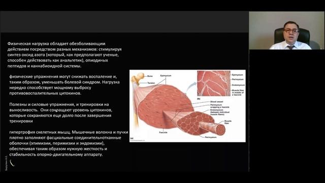 Боль в спине. Врач, фитнес-тренер, пациент. смотреть онлайн