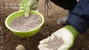 Картофель ЛУЧШЕЕ Органическое Удобрение для Картофеля при Посадке в Лунку для Увеличения Урожая