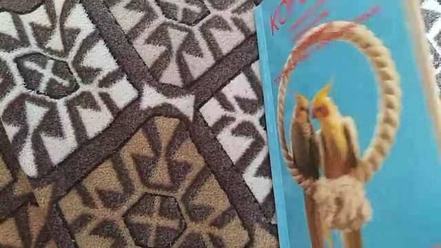 Книга о кореллах смотреть онлайн