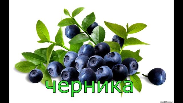 Фрукты, ягоды, овощи. Первые слова малыша смотреть онлайн