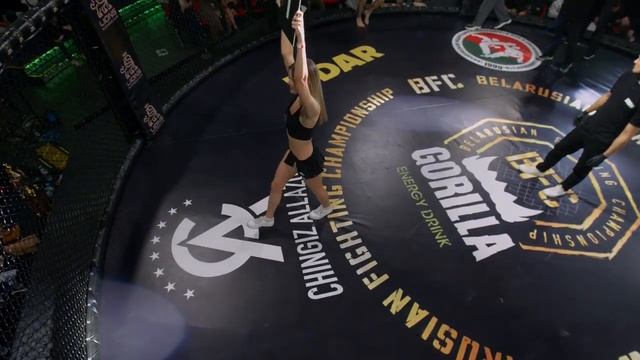 BFC 74. Вечер боев. 11.11.2023