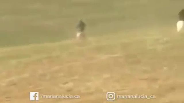 La persistencia y resistencia. .. смотреть онлайн