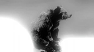 ехали медведи на велосипеде песня ??