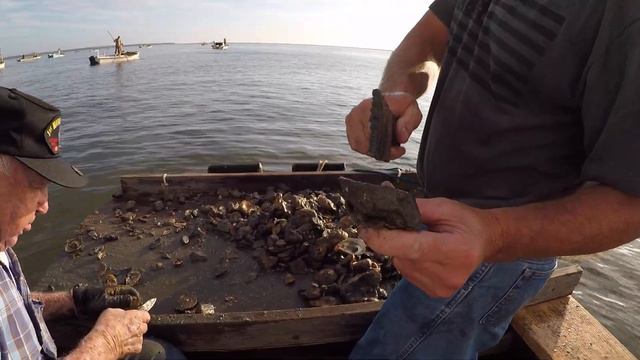 DOZENS Of Boats Gather To This One Spot For THESE! **Catch, SHUCK, Cook** смотреть онлайн