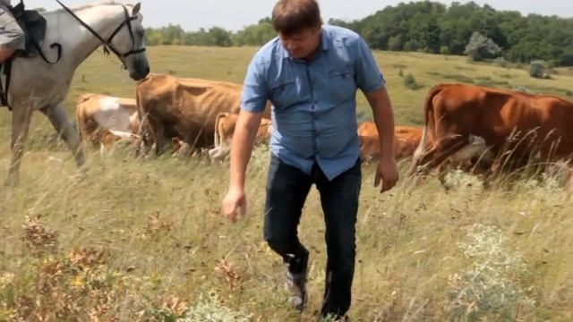 терешково смотреть онлайн