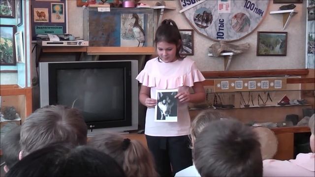 Стрижи живут дома смотреть онлайн