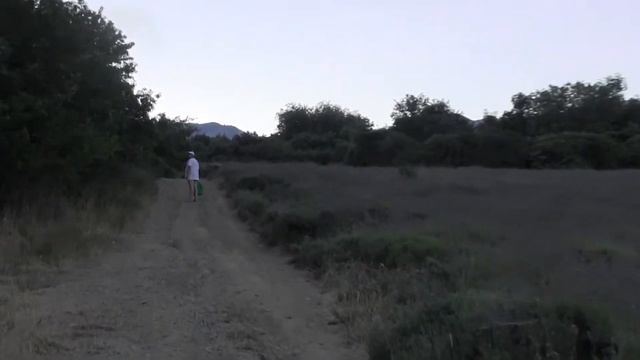 Партенит. Крым. Лаванда. У подножия Аю-Дага.