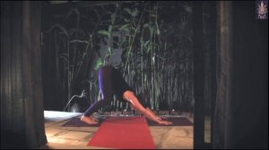 Йога для начинающих в домашних условиях. Татьяна Илларионова. Урок 3