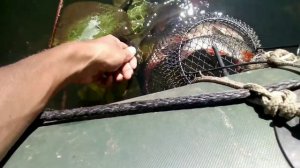 Канал "Рыбалка на реках и озерах"