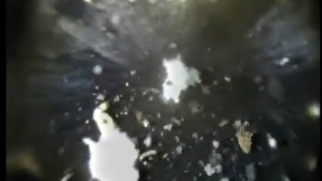 скв21 Васька осьминог.avi смотреть онлайн