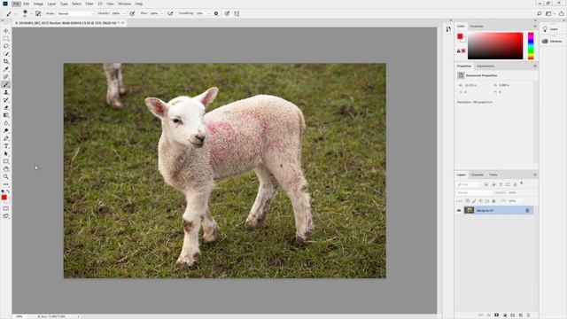 Photoshop Printing 2 смотреть онлайн