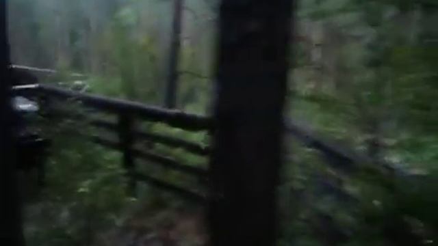 База Ареда 1 Чемал отдых в Горном Алтае