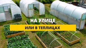 Умная система полива растений - комфортное удалённое управление при помощи смартфона Андроид.