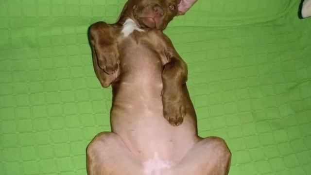 Esta es Dana смотреть онлайн