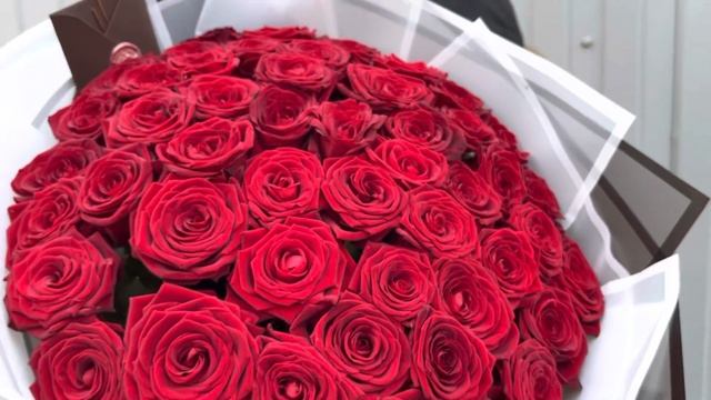 51 красная ароматная Роза 60 см смотреть онлайн