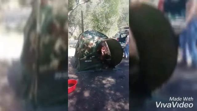 Мобильная Баня ( Мобиба) смотреть онлайн